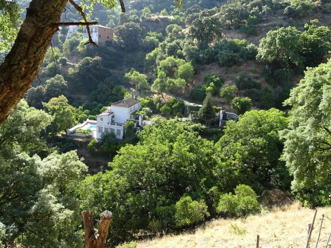Finca Riolavar Jubrique Exteriér fotografie